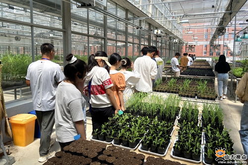 生命科學與微生物技術研究院師生深入青島清原農冠，共探農業科技前沿