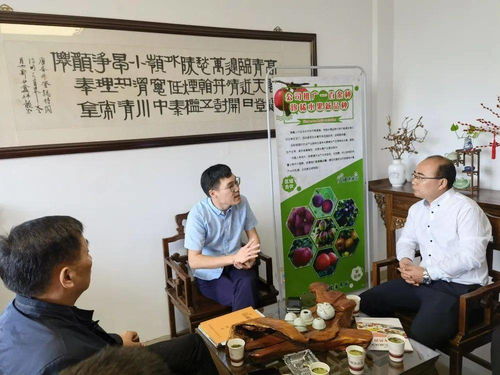 招商征途與農業創新 位副縣長、鄉黨委書記周偉的城鄉發展蹲點筆記